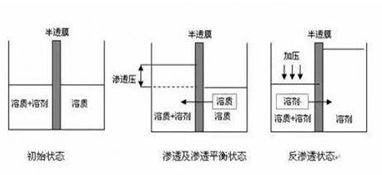 ro膜是什么？為什么說它是凈水器的靈魂？