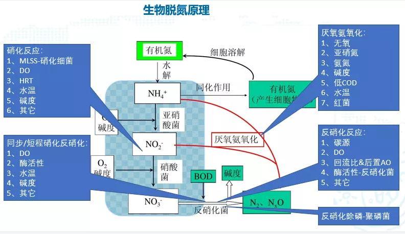 碳中和趨勢下污水處理節能降耗技術需求解讀