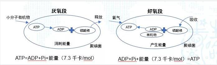 碳中和趨勢下污水處理節能降耗技術需求解讀-北京水展 watertech beijing - 2025年10月20-22日-環保水處理 | 膜與水處理 | 凈水設備及配件 碳中和趨勢下污水處理節能降耗技術需求解讀-北京水展 watertech beijing - 2025年10月20-22日-環保水處理 | 膜與水處理 | 凈水設備及配件