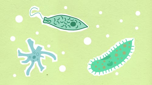 污水處理微生物反應原理及影響因素！