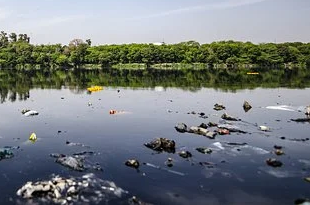 完成治理的部分水體返黑返臭 河長制為何形同虛設？